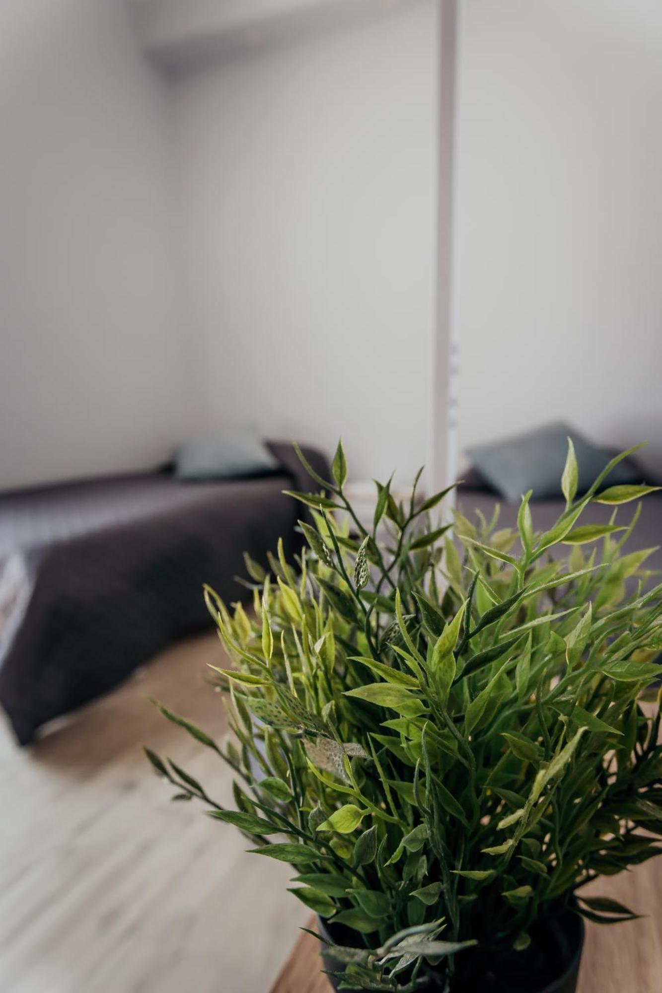 Fcoairporthouse Appartement Fiumicino Buitenkant foto